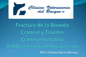 Fractura de la Bveda Craneal y Trauma Craneoenceflico